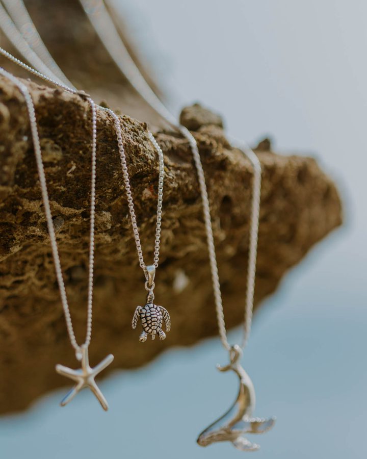 colgante en plata de ley tortuga