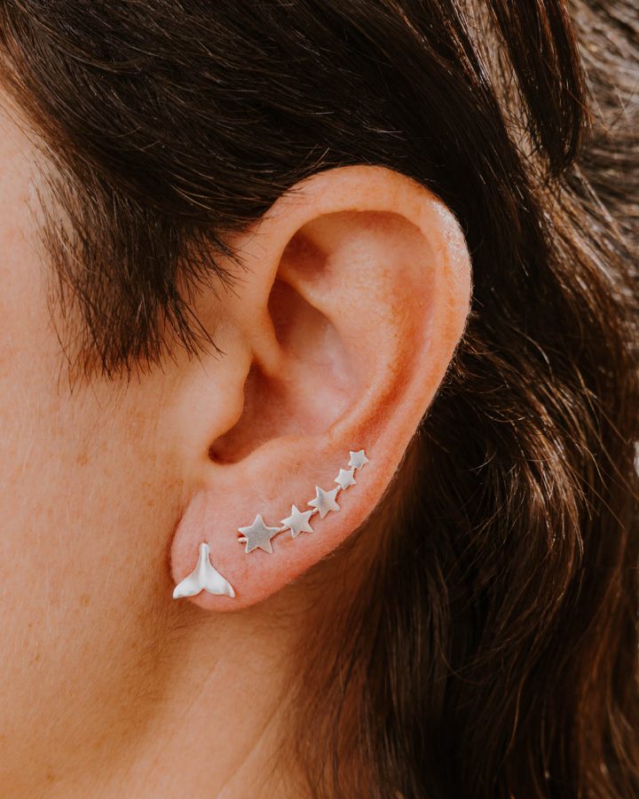 pendiente plata de ley cola ballena trepadora estrella ascendente