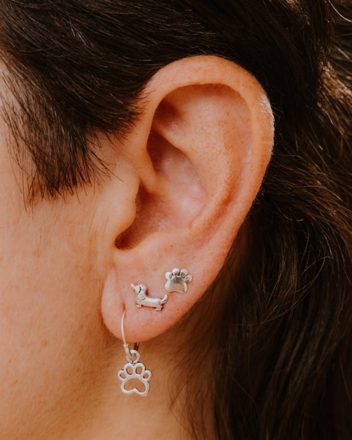 pendientes plata de ley huella perro